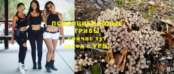 соль ск Балабаново