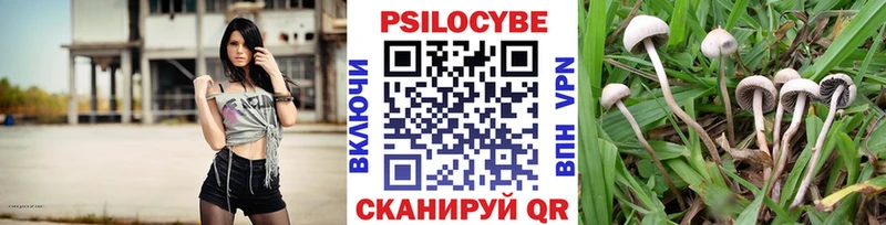 маркетплейс официальный сайт  Усинск  Псилоцибиновые грибы мухоморы 