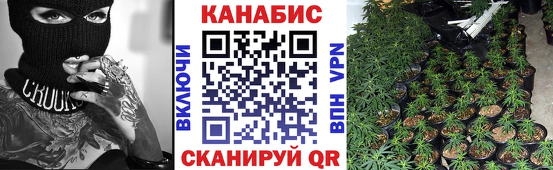 Бошки Шишки семена  Усинск 